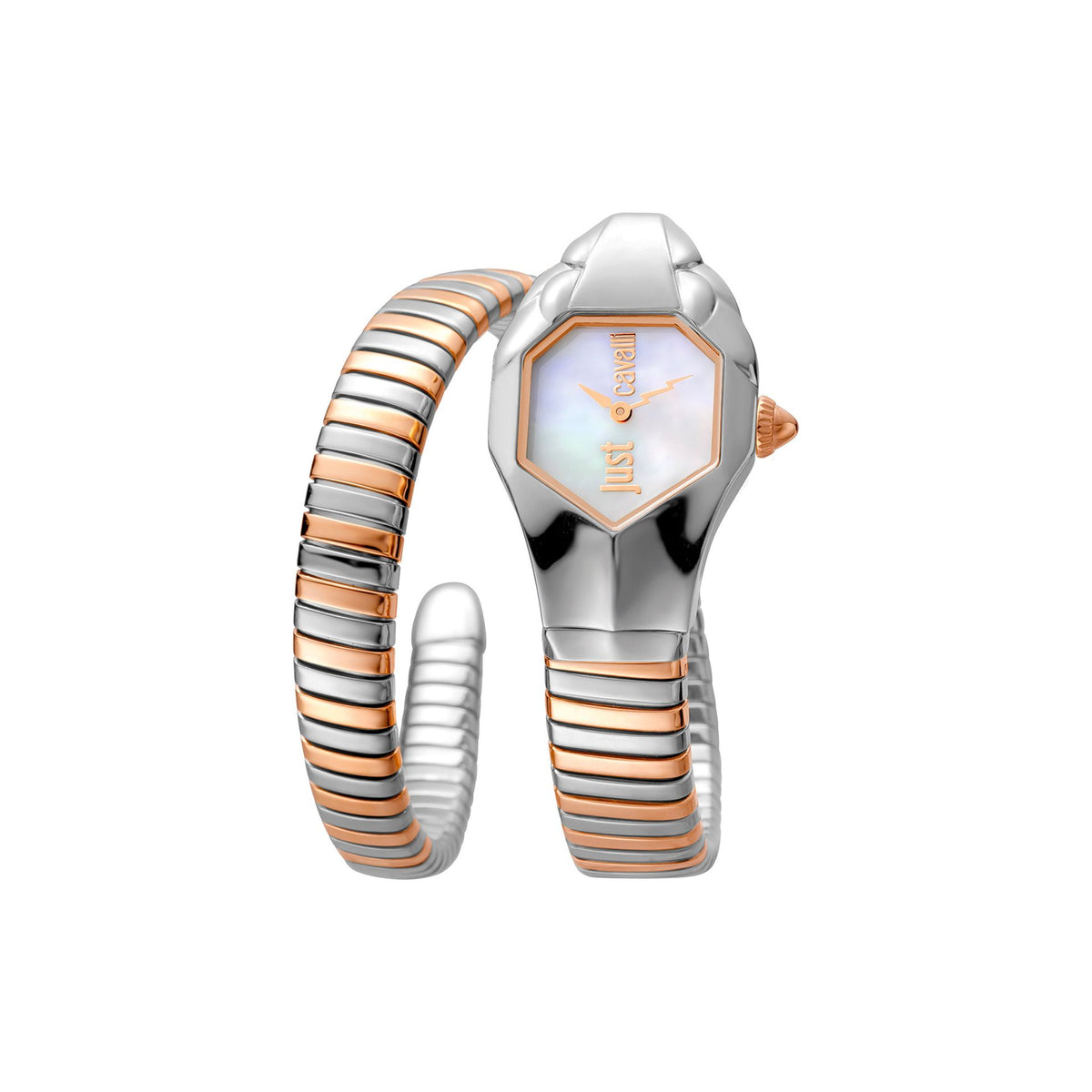 Just Cavalli Orologi