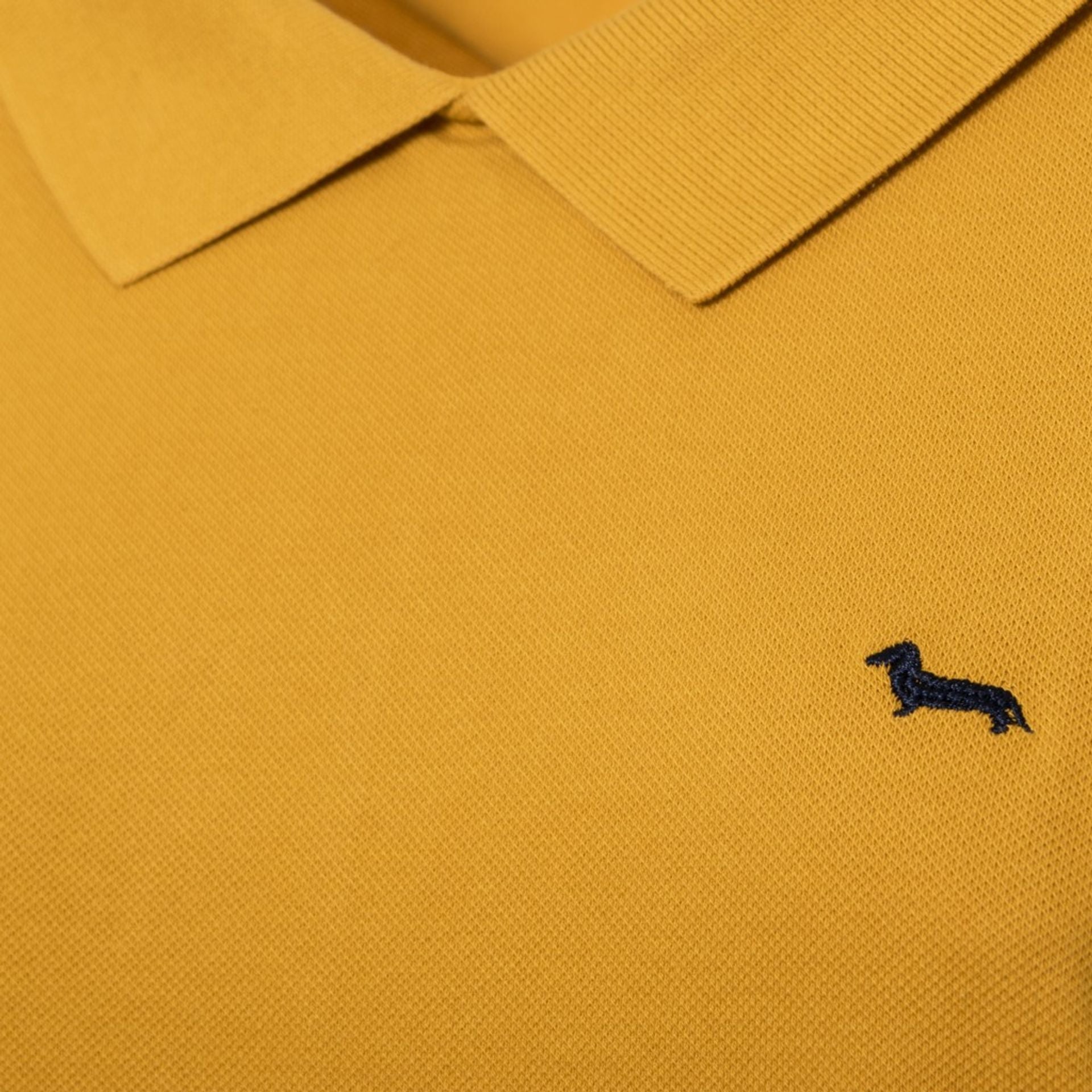 Harmont&Blaine Polo donna